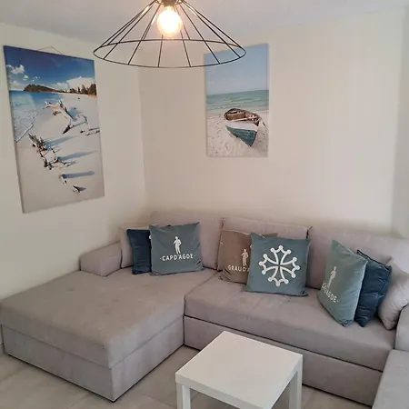 Le Colisee, Superbe Rez De Jardin Renove Avec Parking, Clim Et Wifi Agde