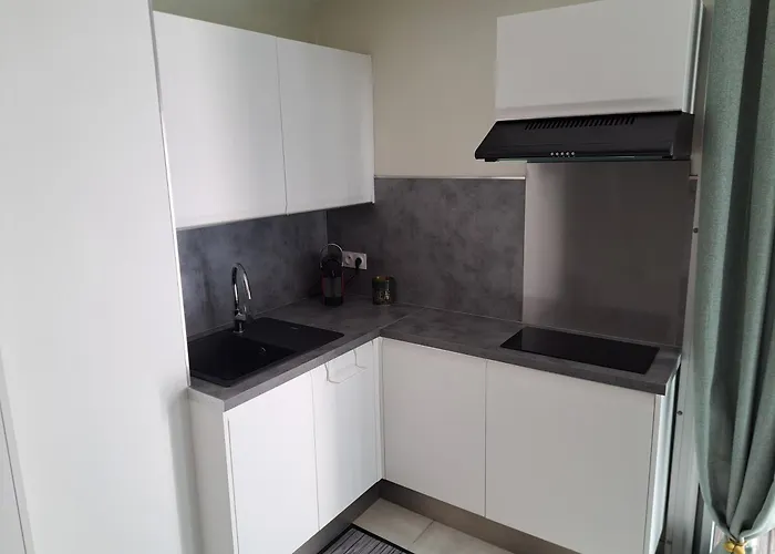 Apartment Le Colisee, Superbe Rez De Jardin Renove Avec Parking, Clim Et Wifi