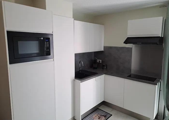 Le Colisee, Superbe Rez De Jardin Renove Avec Parking, Clim Et Wifi Apartment *