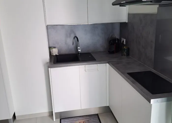 Apartment Le Colisee, Superbe Rez De Jardin Renove Avec Parking, Clim Et Wifi