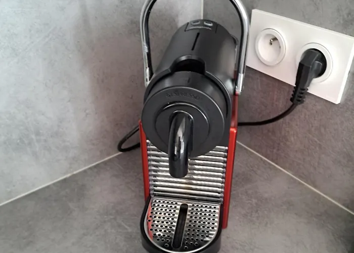 Le Colisée, Superbe Rez De Jardin Rénové Avec Parking, Clim Et Wifi Appartamento