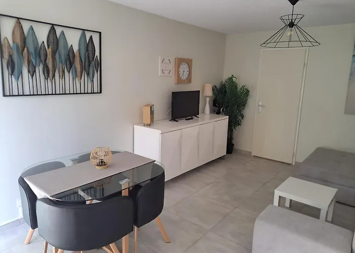 Le Colisee, Superbe Rez De Jardin Renove Avec Parking, Clim Et Wifi Agde