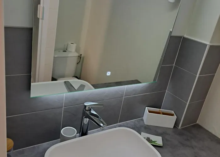 Le Colisee, Superbe Rez De Jardin Renove Avec Parking, Clim Et Wifi Apartment